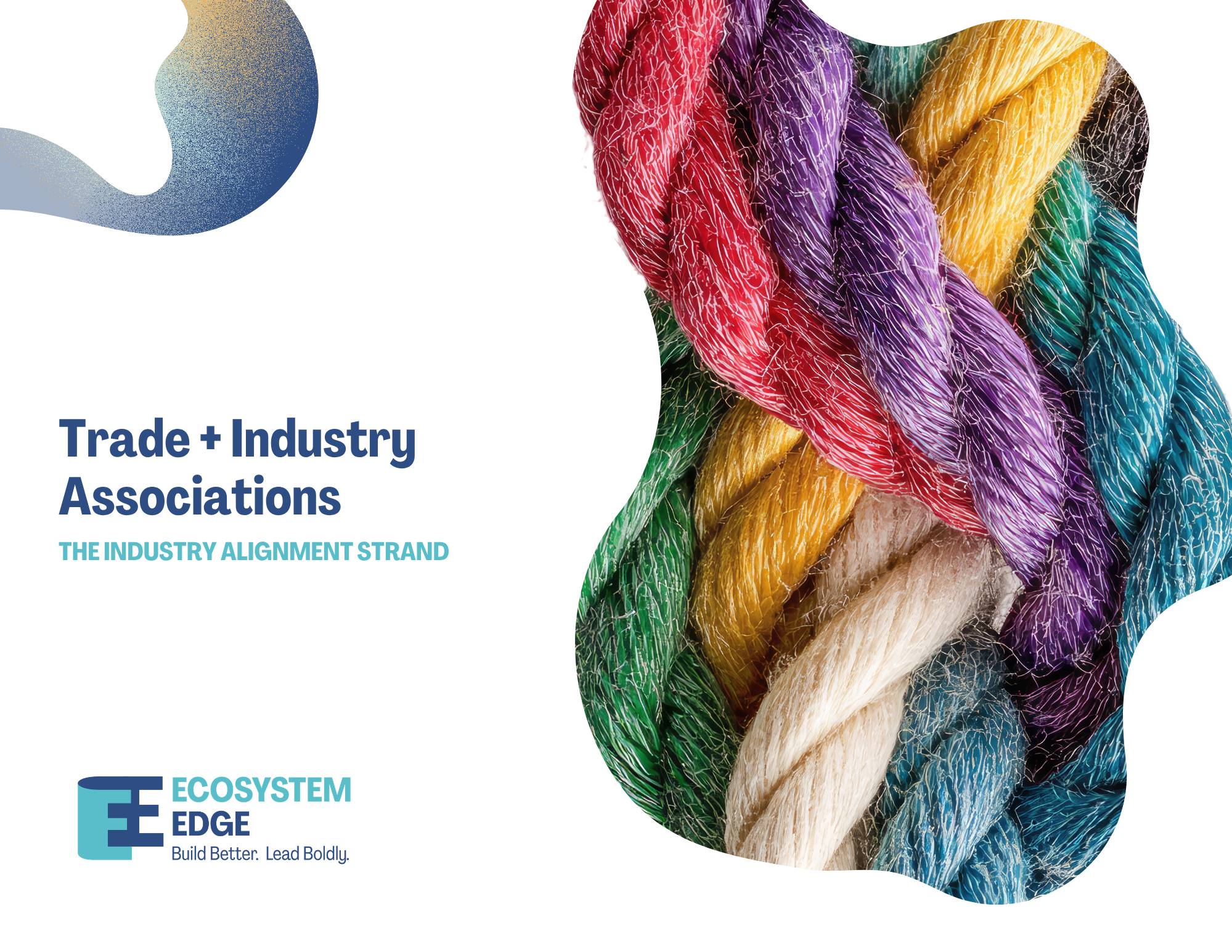 Trade + Industry Associations - The Industry Alignment Strand