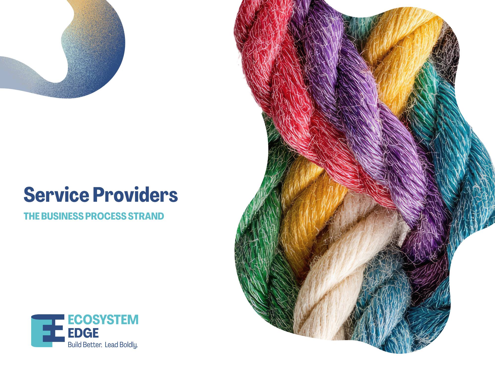 Service Providers - The Business Process Strand