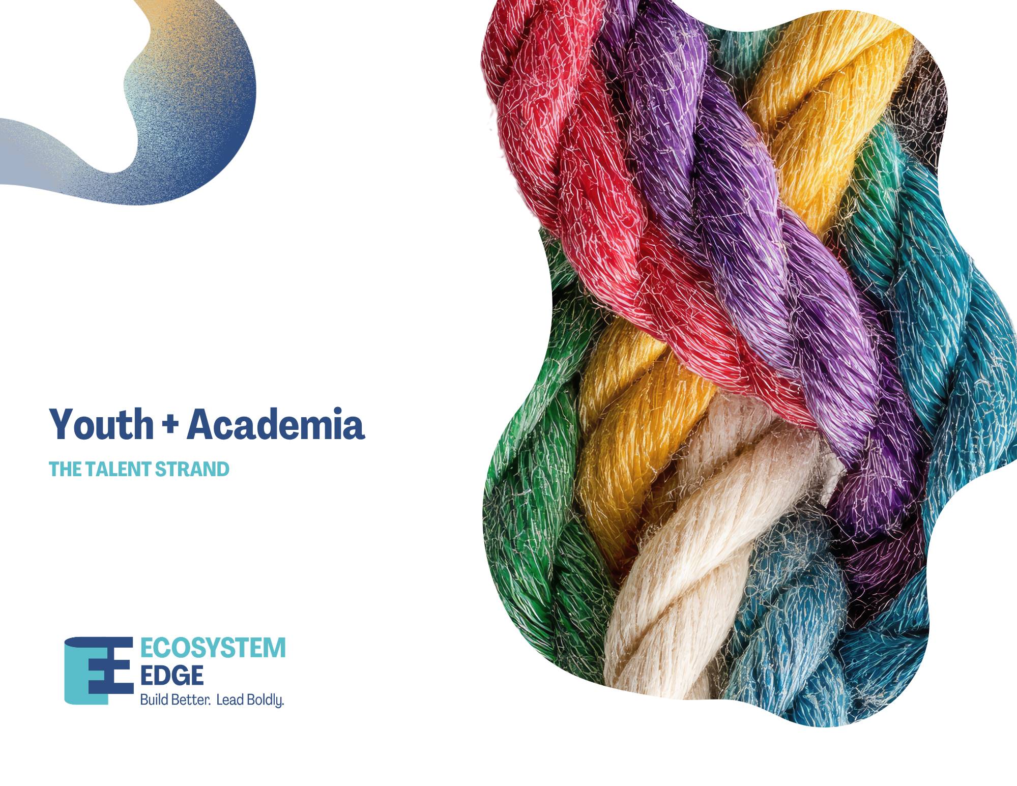The Capital Braid: Youth + Academia - The Talent Strand