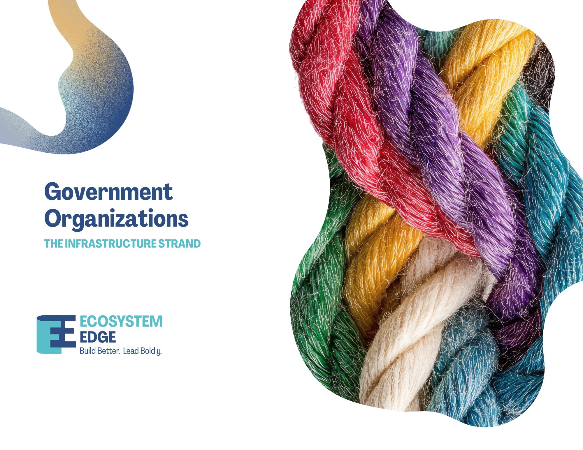 The Capital Braid: Government Organizations - The Infrastructure Strand