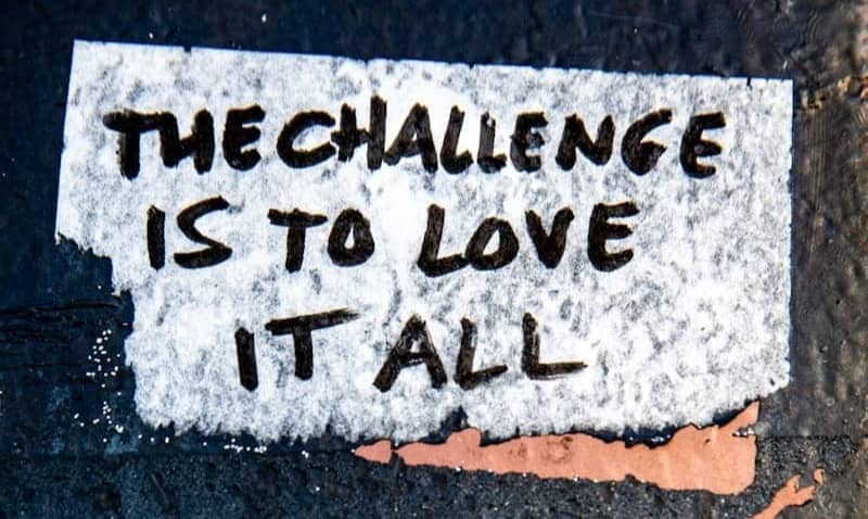 Text reads "the challenge is to love it all"