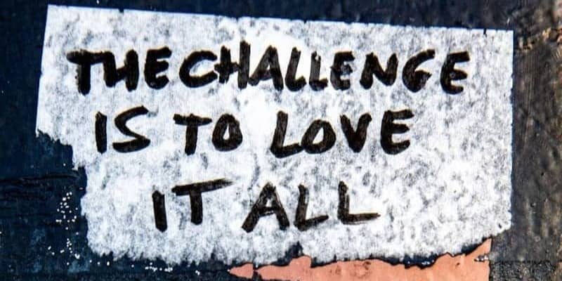 Text reads "the challenge is to love it all"