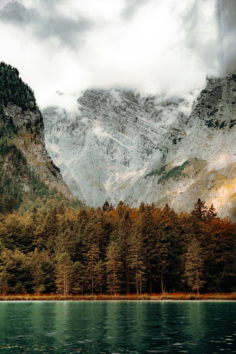 A dense forest at the base of rocky mountains in Schönau am Königssee