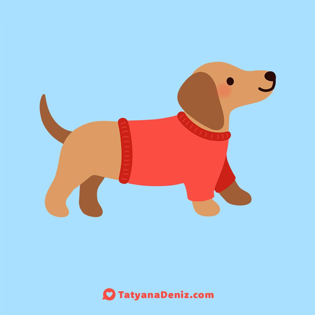 Kawaii dachshund dog by Tatyana Deniz