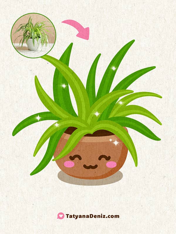 Kawaii spider plant by Tatyana Deniz