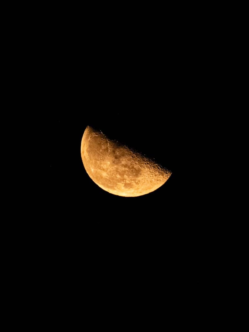 A half moon glows orange in the dark sky