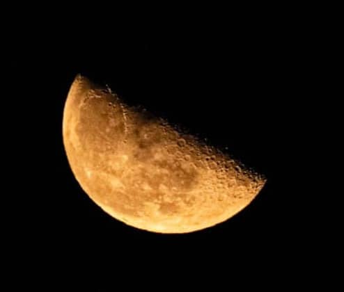 A half moon glows orange in the dark sky