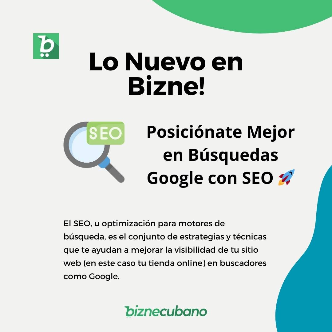 Lo Nuevo en Bizne - Posicionate en Google con SEO