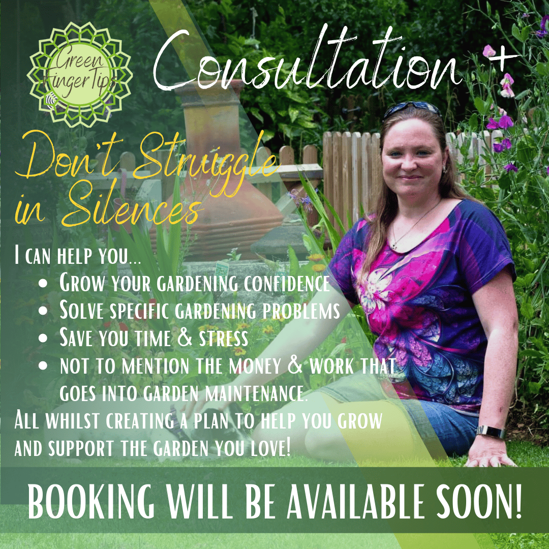consolation-package