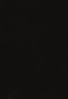 Leaves are silhouetted against a dark background.