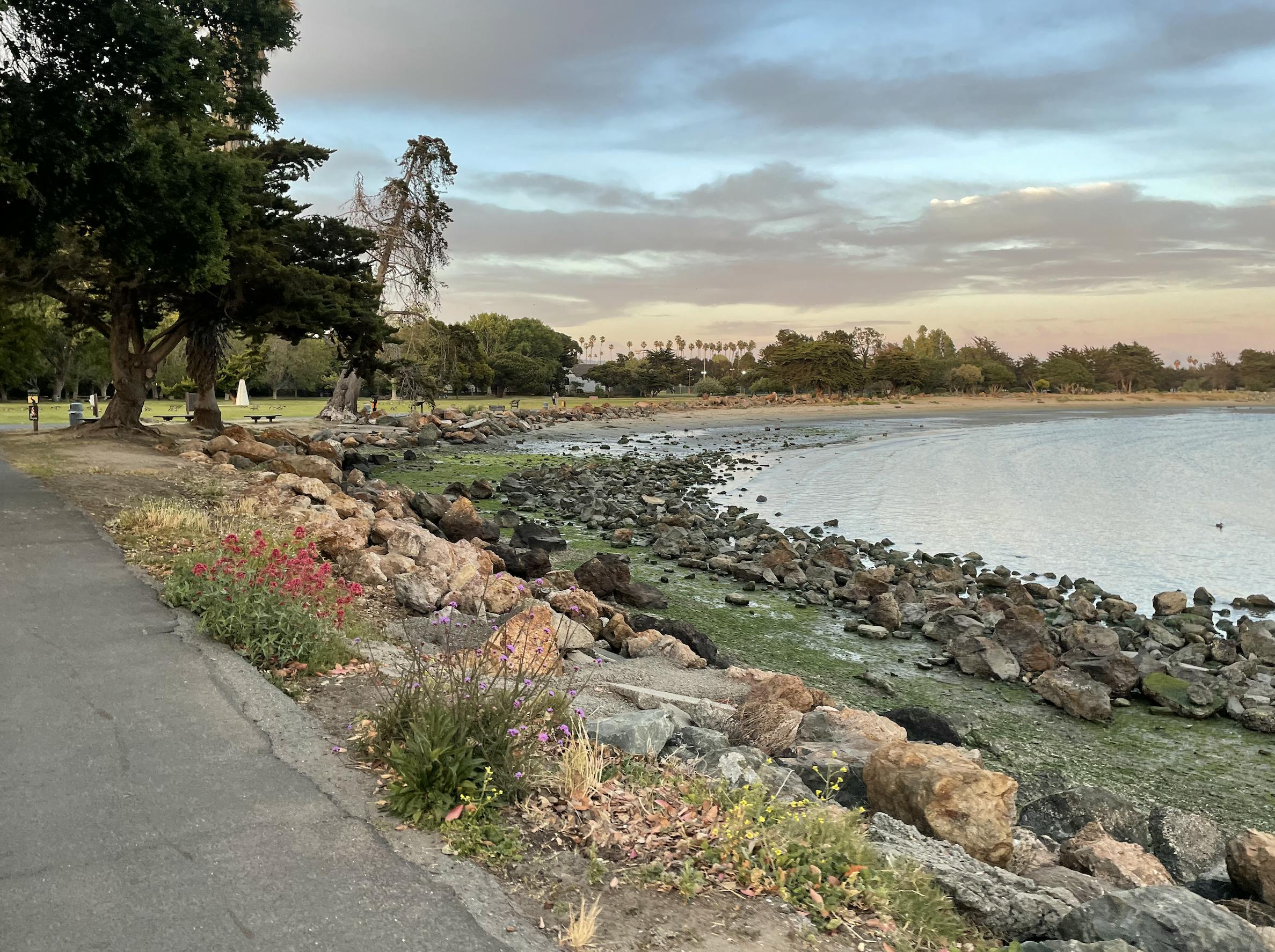 Captured on a long walk with a good friend in Alameda Beach. :)