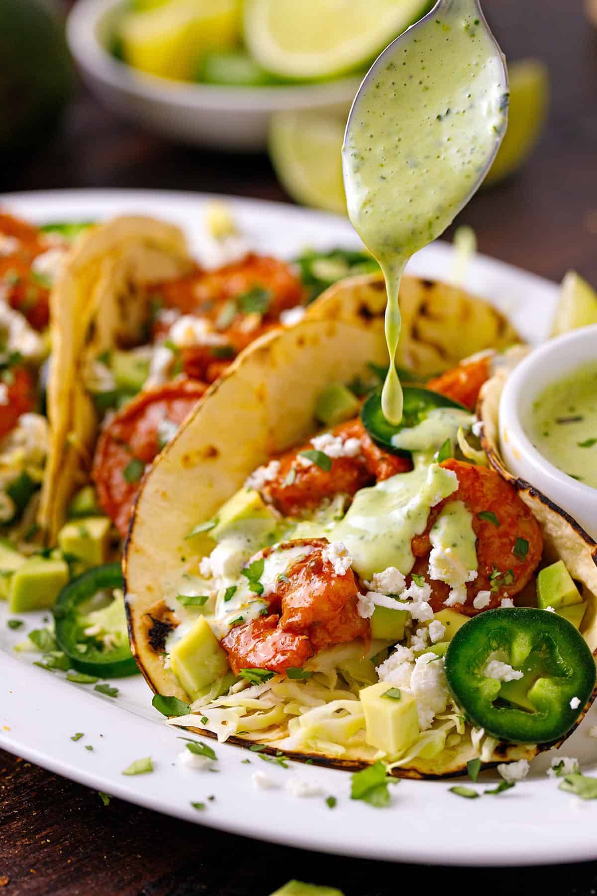 Shrimp Tacos with Creamy Cilantro-Lime Sauce on a plate.