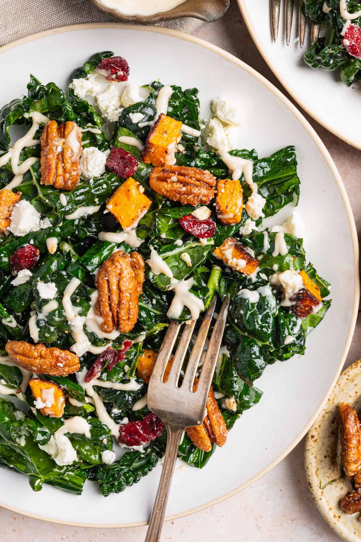 Sweet Potato Kale Salad with Pecans, Feta, Dried Cranberries, and Maple Dressing on a white plate.