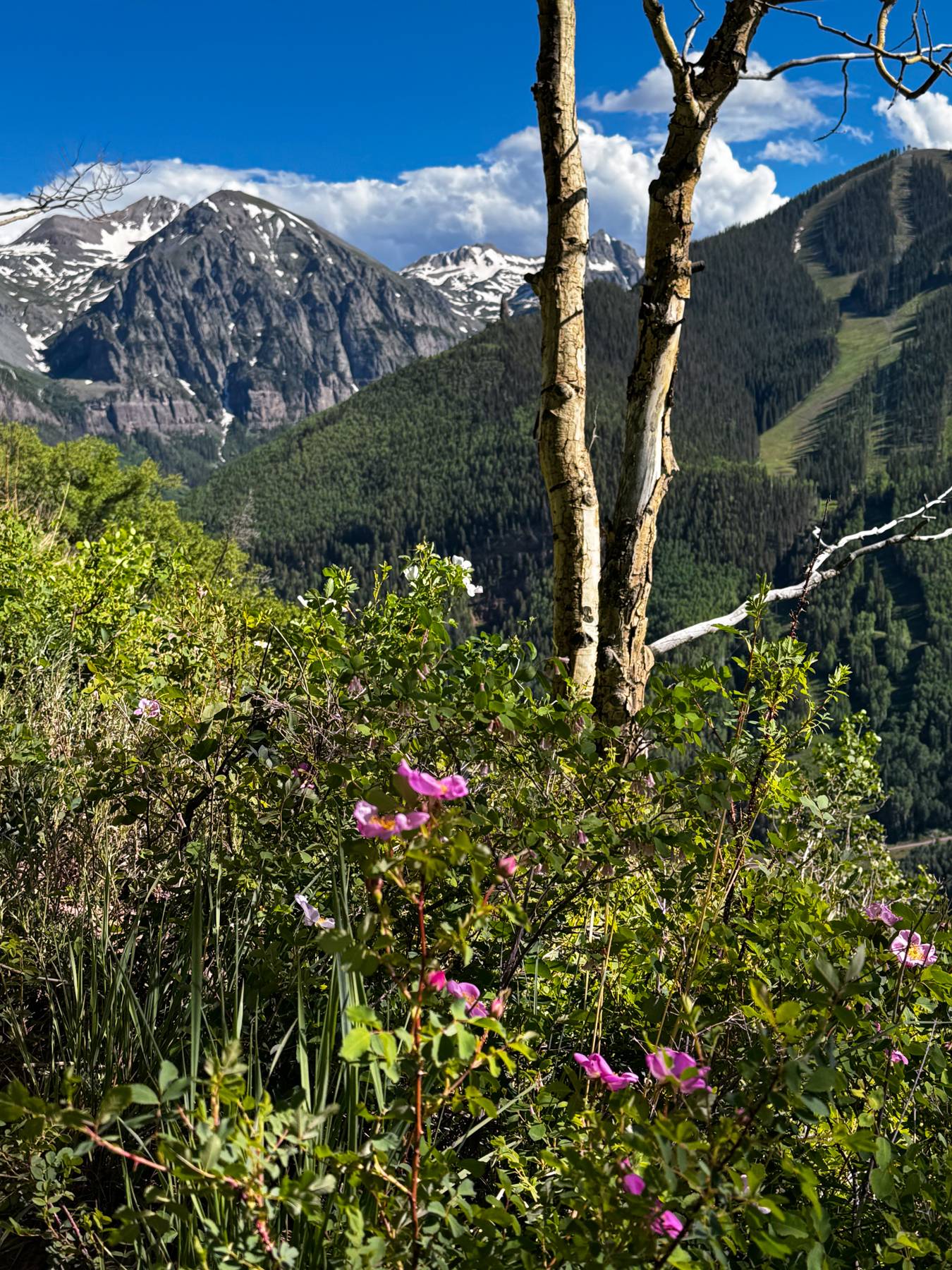 Colorado mountains.