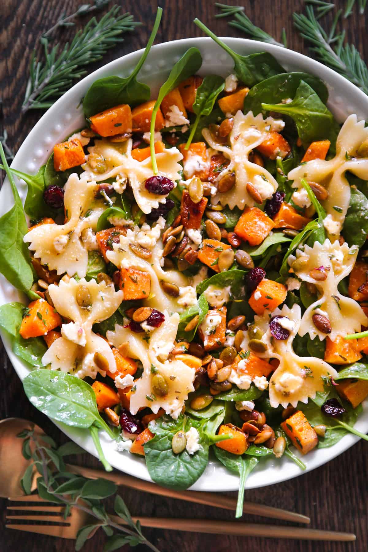 Butternut squash pasta salad with pumpkin seeds, dried cranberries, baby spinach, creamy goat cheese, and maple lime dressing.