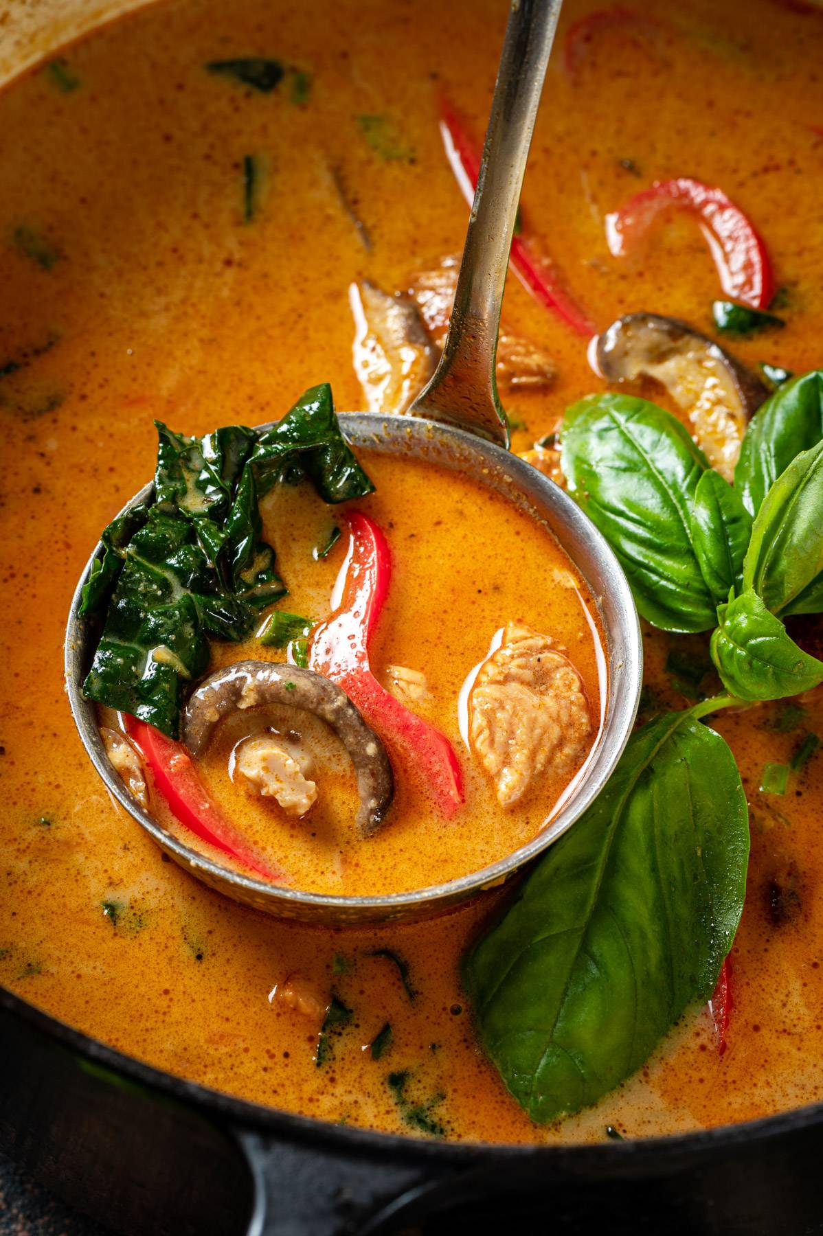 Thai Chicken Coconut Soup in a pot with the ladle showcasing the soup.