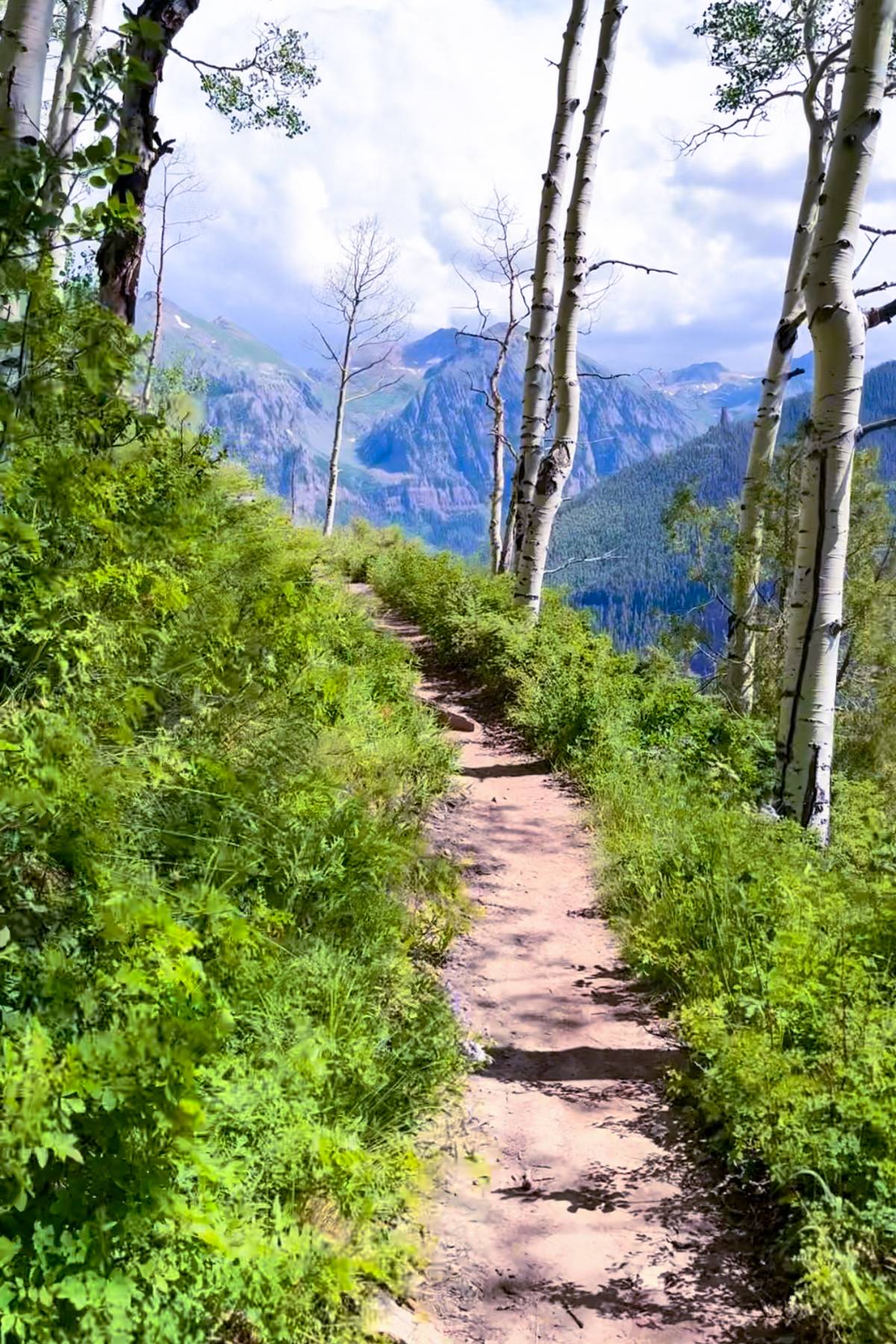 hiking trail in Colorado.