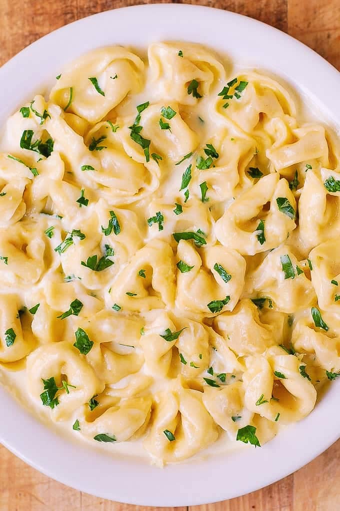 Creamy Asiago Cheese Tortellini on a white plate.
