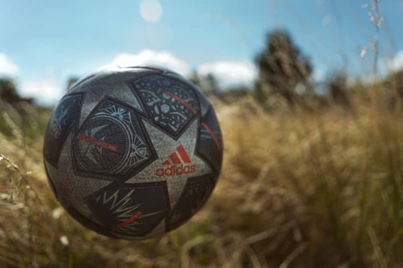 An adidas soccer ball in tall grass under blue sky.