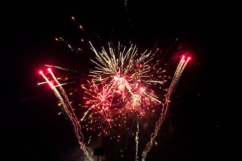 Fireworks burst in the dark night sky.