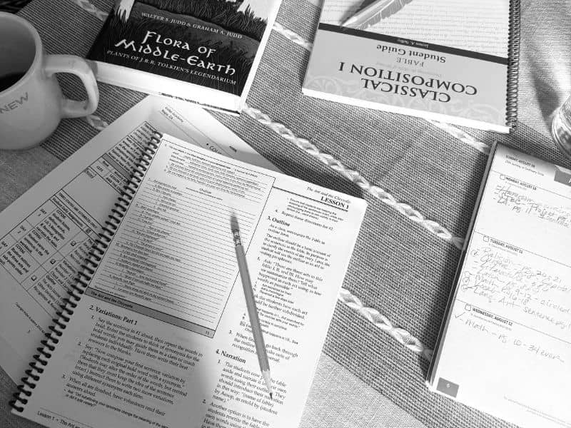 A display of student workbooks and pencils.