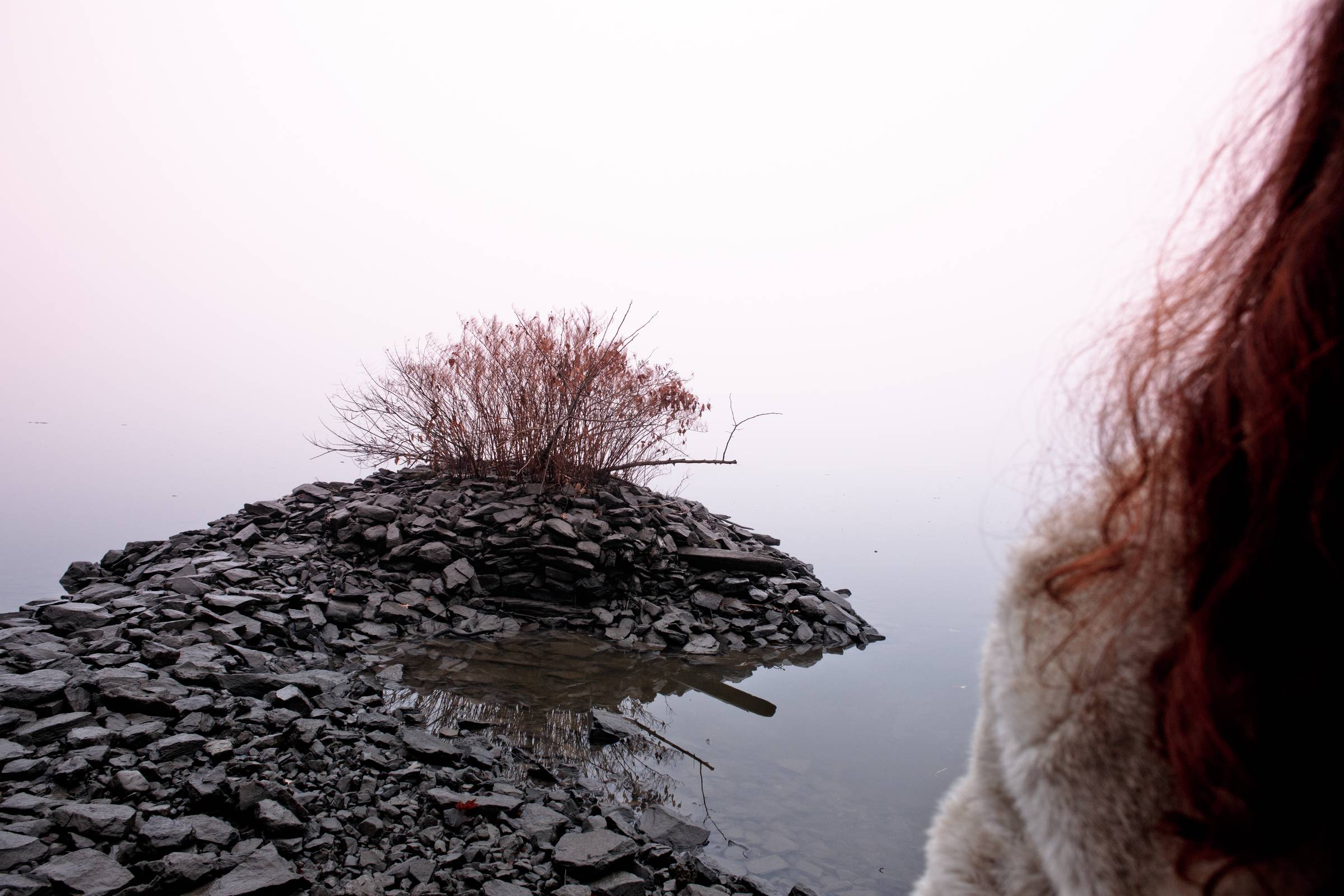 A rocky shoreline extends into the still, fog-covered Hudson River, ending in a small mound of stones topped with bare shrubs. The water and pale sky blend into an indistinguishable horizon. At the right edge, a partial figure with reddish hair and a fur-
