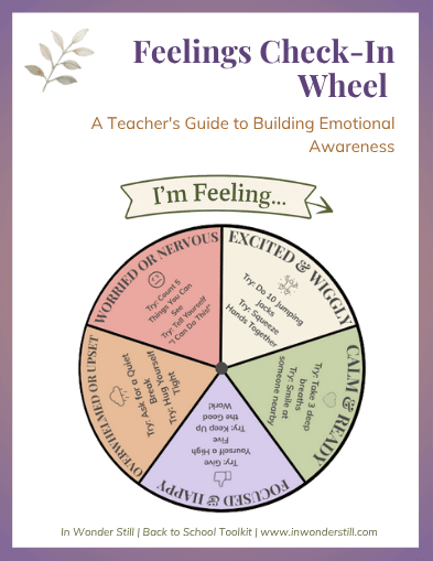 Complete Feelings Check-In Wheel- pdf