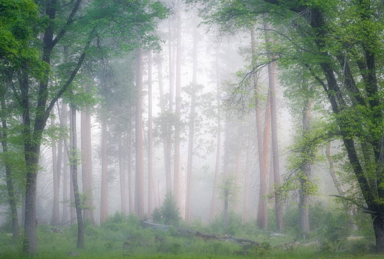 yosemite landscape
