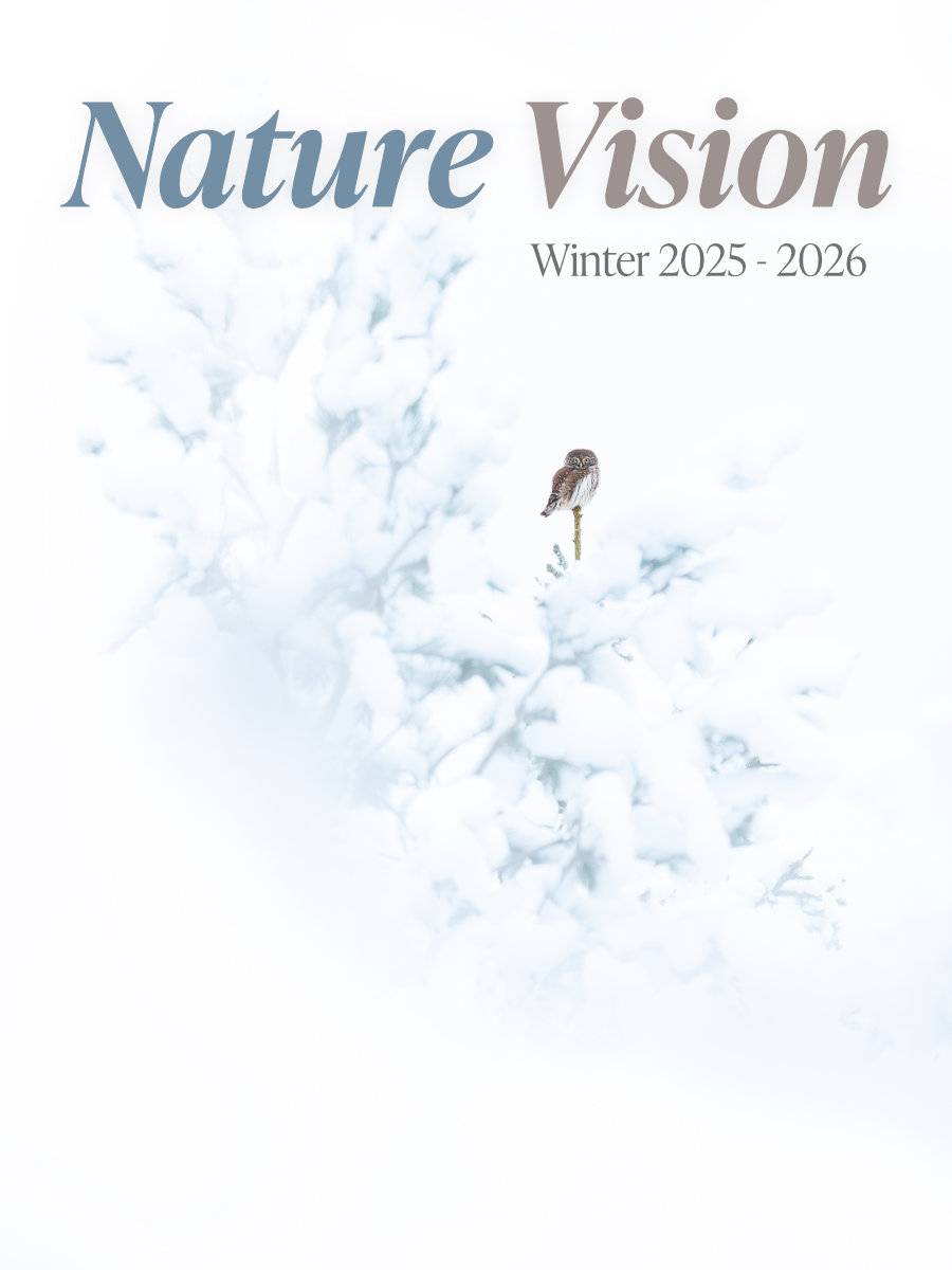 nature vision magazine issue 11 cover
