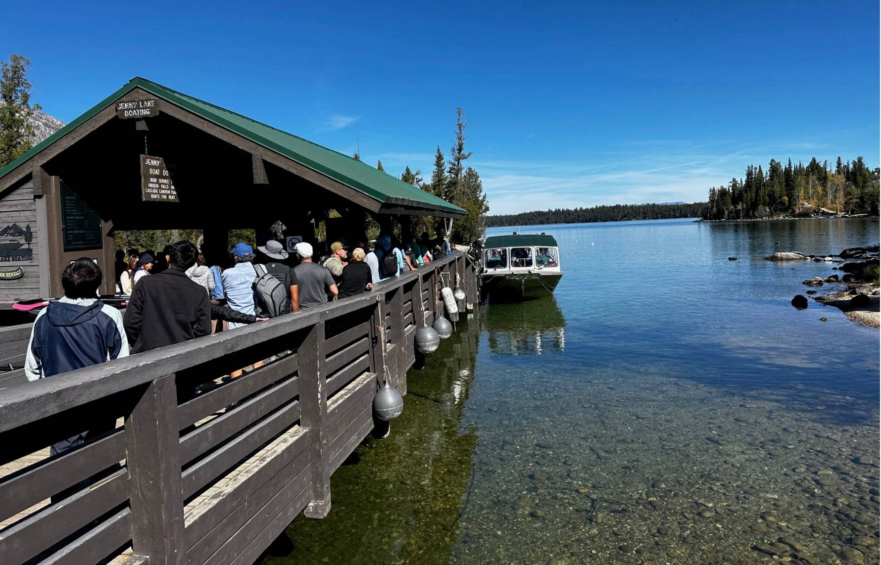 green pine trees near mountain during daytime