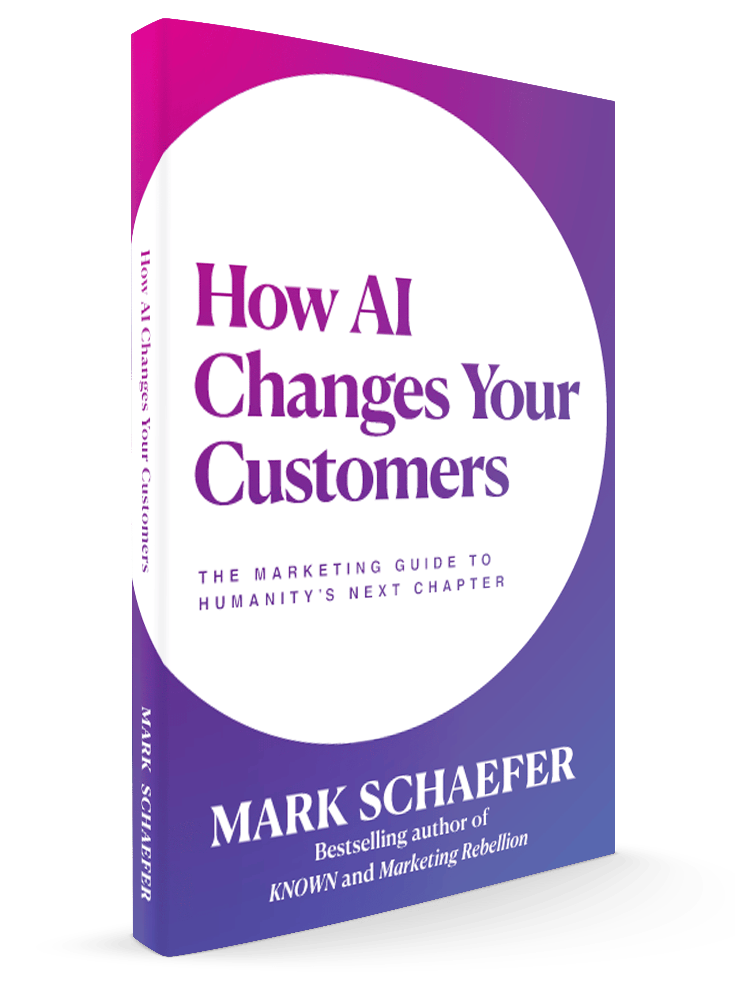 Mark Schaefer's new book.