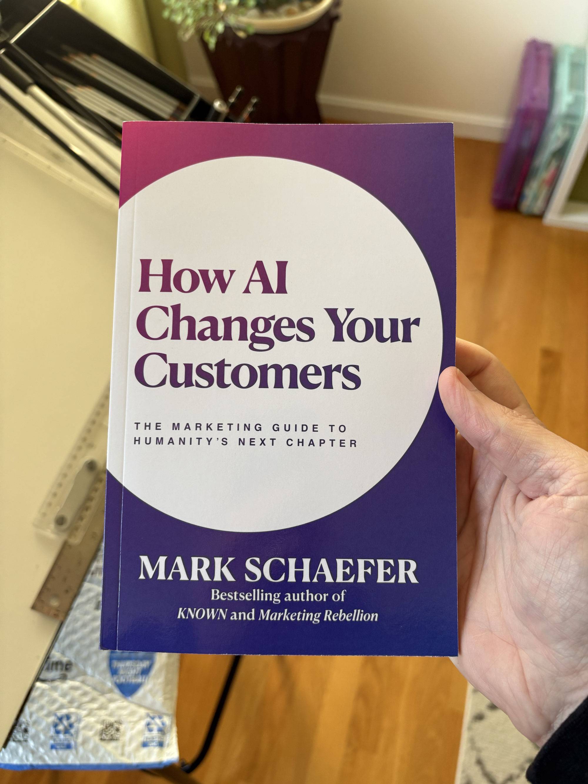 Mark Schaefer's new book