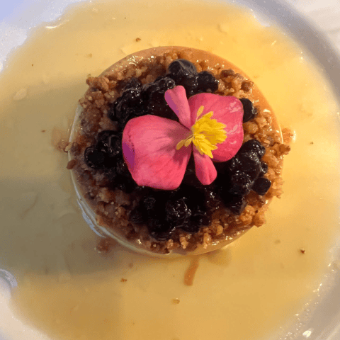 No bake cheesecake with blueberries and an edible flower