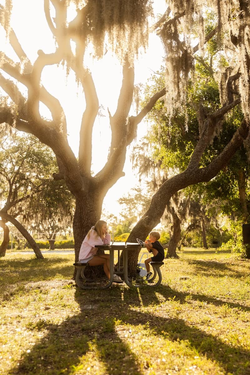 Woman and child have lunch under a tree.