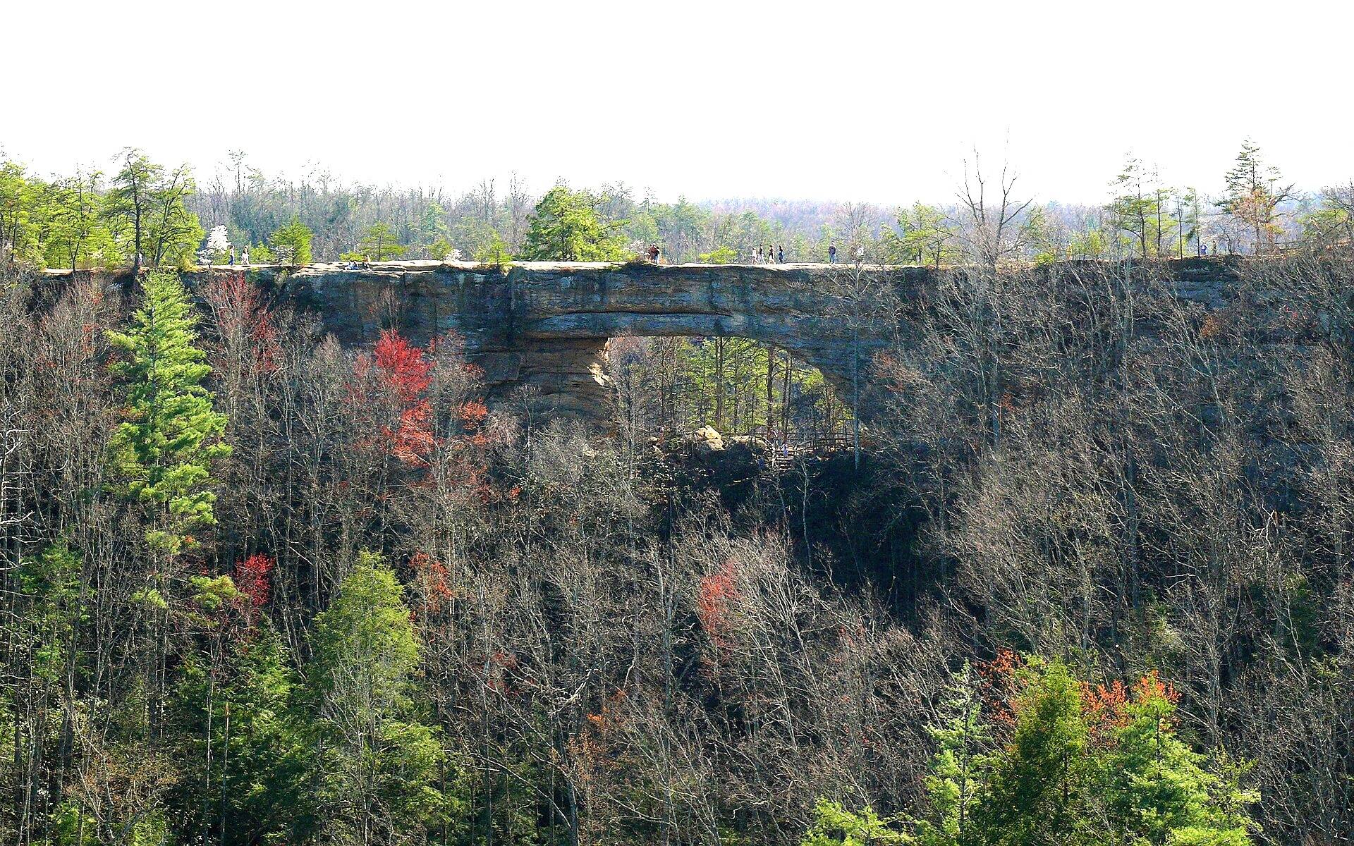 Natural Bridge as viewed from Lookout Point