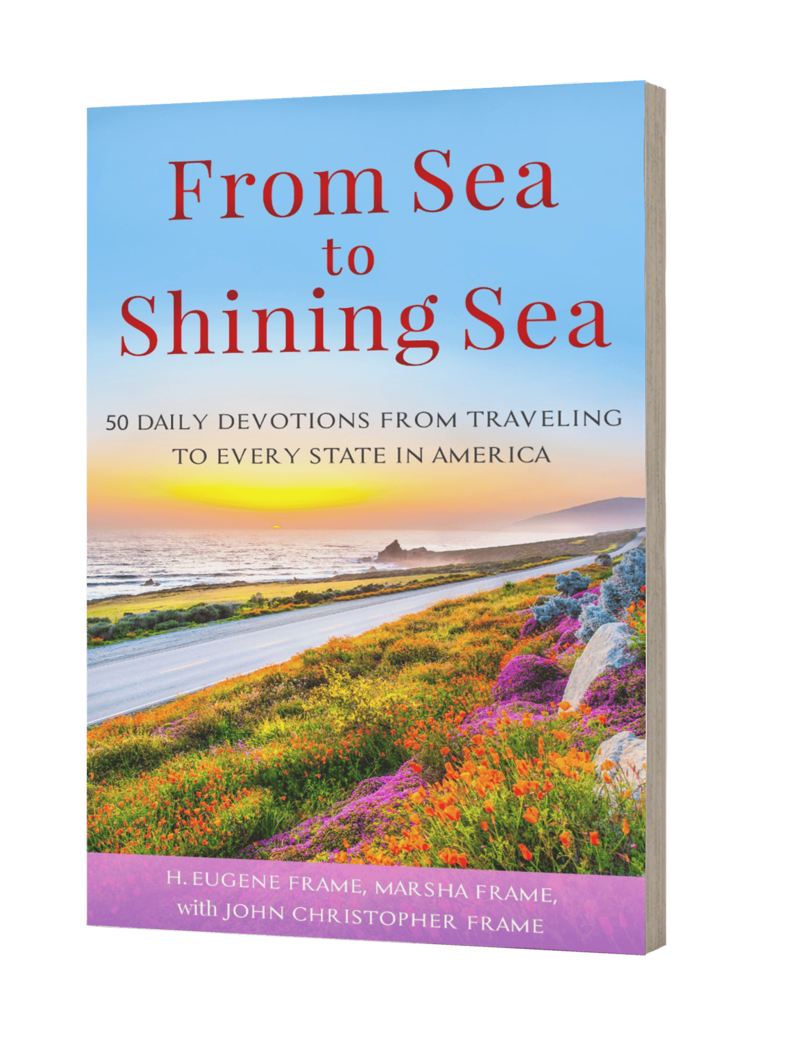 New book cover showing wildflowers next to a road next to the ocean, with a sunset