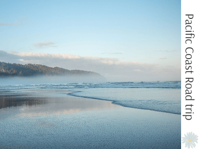 Inlumina Creative Pacific Coast Road Trip by Amy Laws.