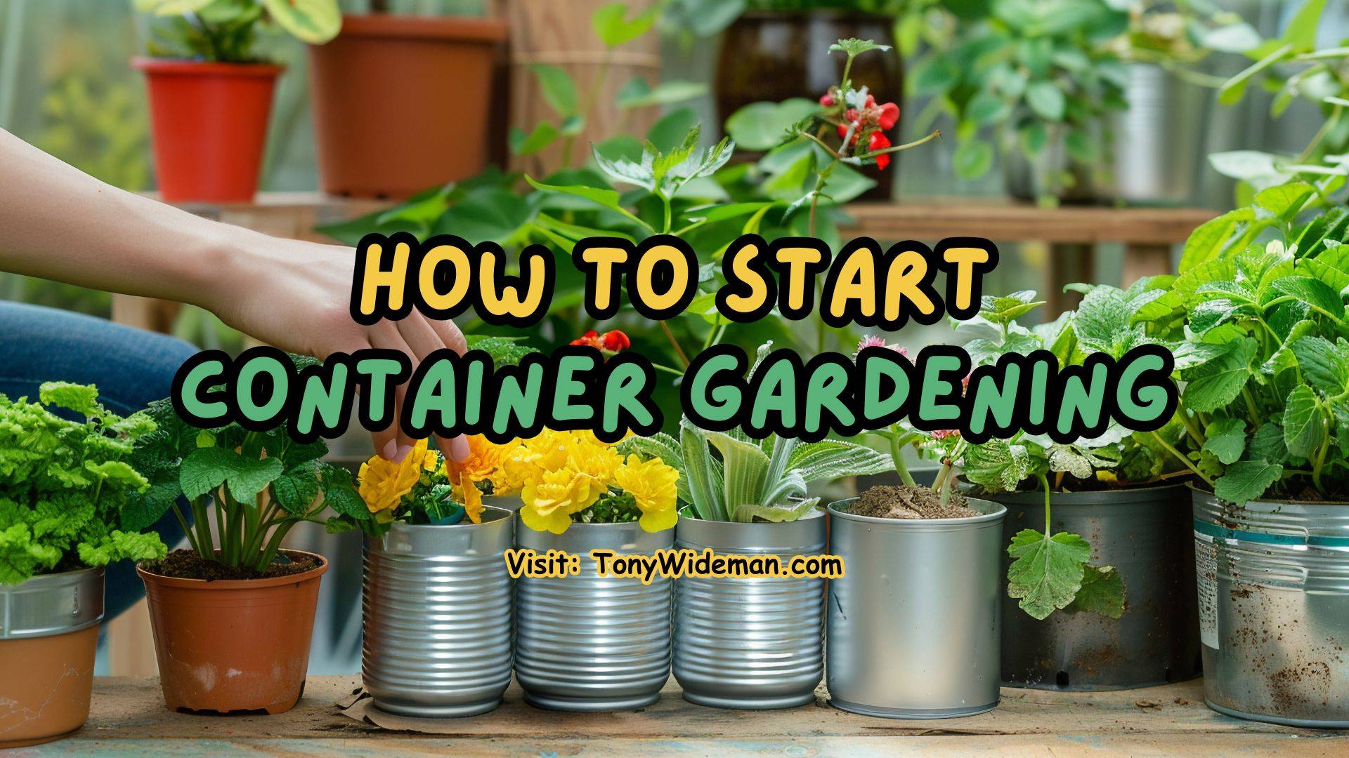 How To Start Container Gardening