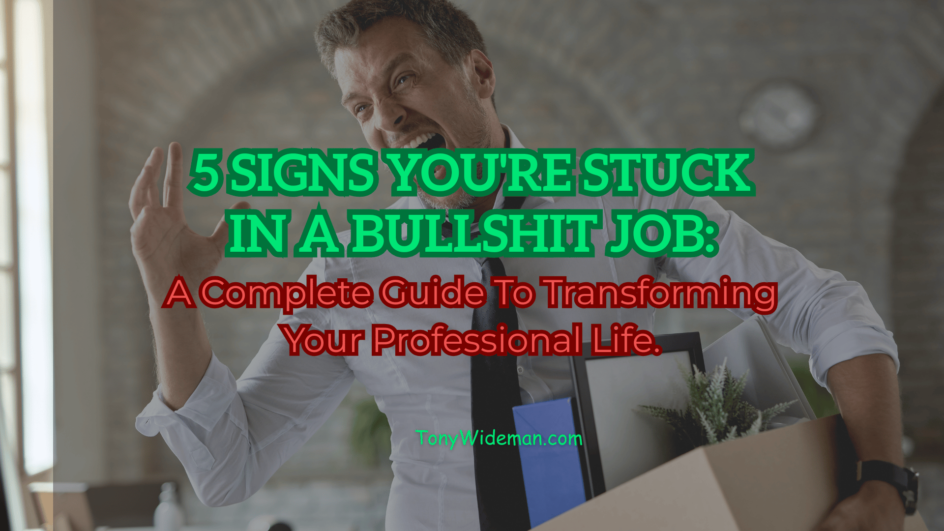 5 Signs You're Stuck In A Bullshit Job: A Complete Guide To Transforming Your Professional Life