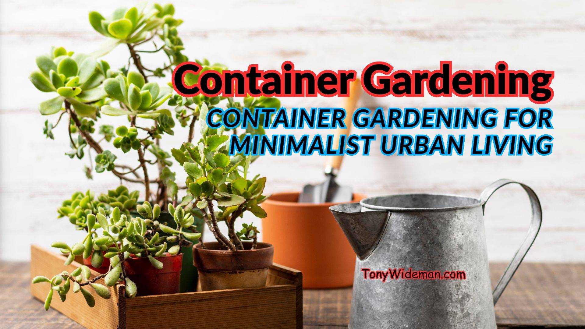 Container Gardening For Minimalist Urban Living