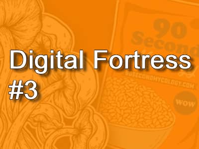 Digital Fortress #3