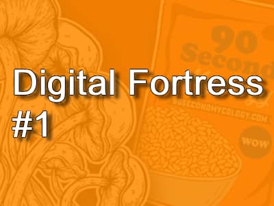 Digital Fortress #1