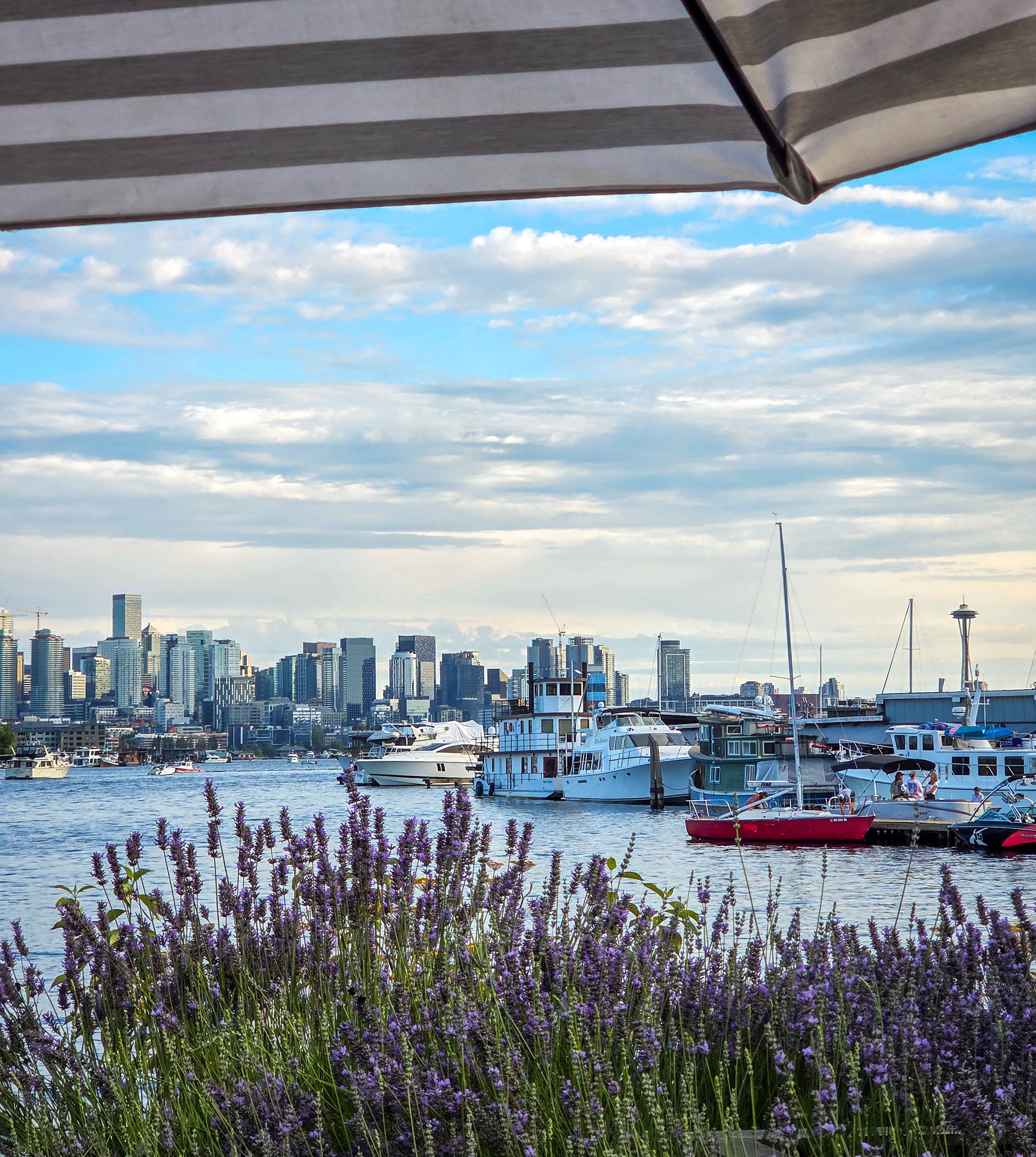 Seattle skyline and Space Needle viewed across Lake Union with lavender and moored boats in the foreground ©Stephanie Dosch | theViatrix Luxury Travel