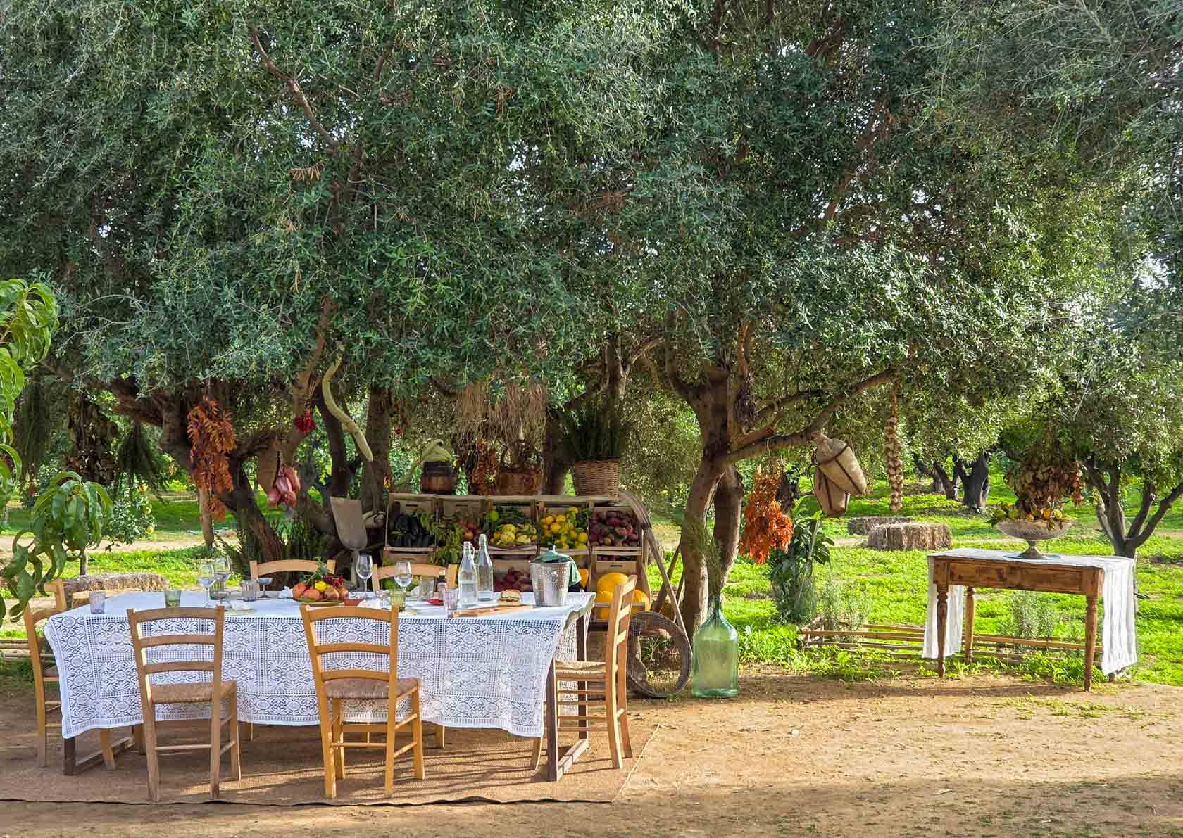 Farm-to-table lunch set in a secret garden olive grove near the Valley of the Temples in Sicily, Italy ©Stephanie Dosch | theViatrix Luxury Travel