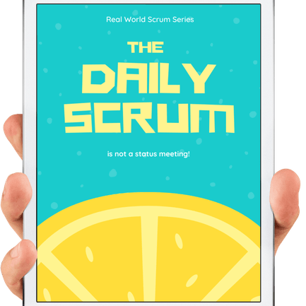 The Daily Scrum Book