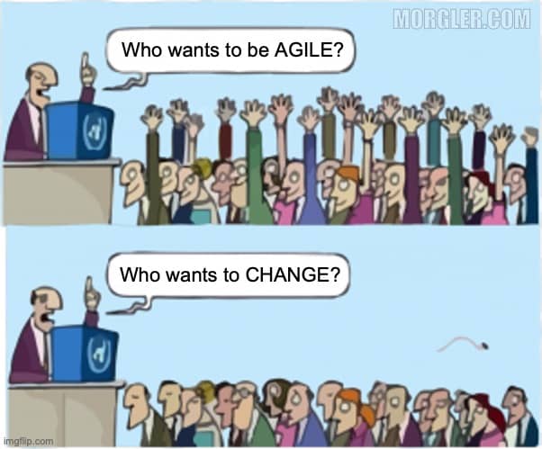 Agile projects - not everyone gets them - Imgflip