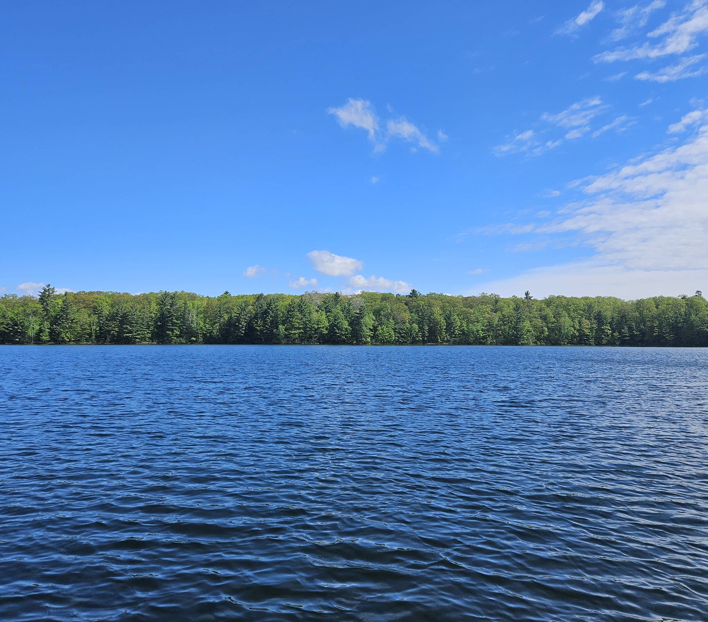 A photograph of a lake on a clear day with a few wispy clouds in the sky. There are trees on the other side of the lake.