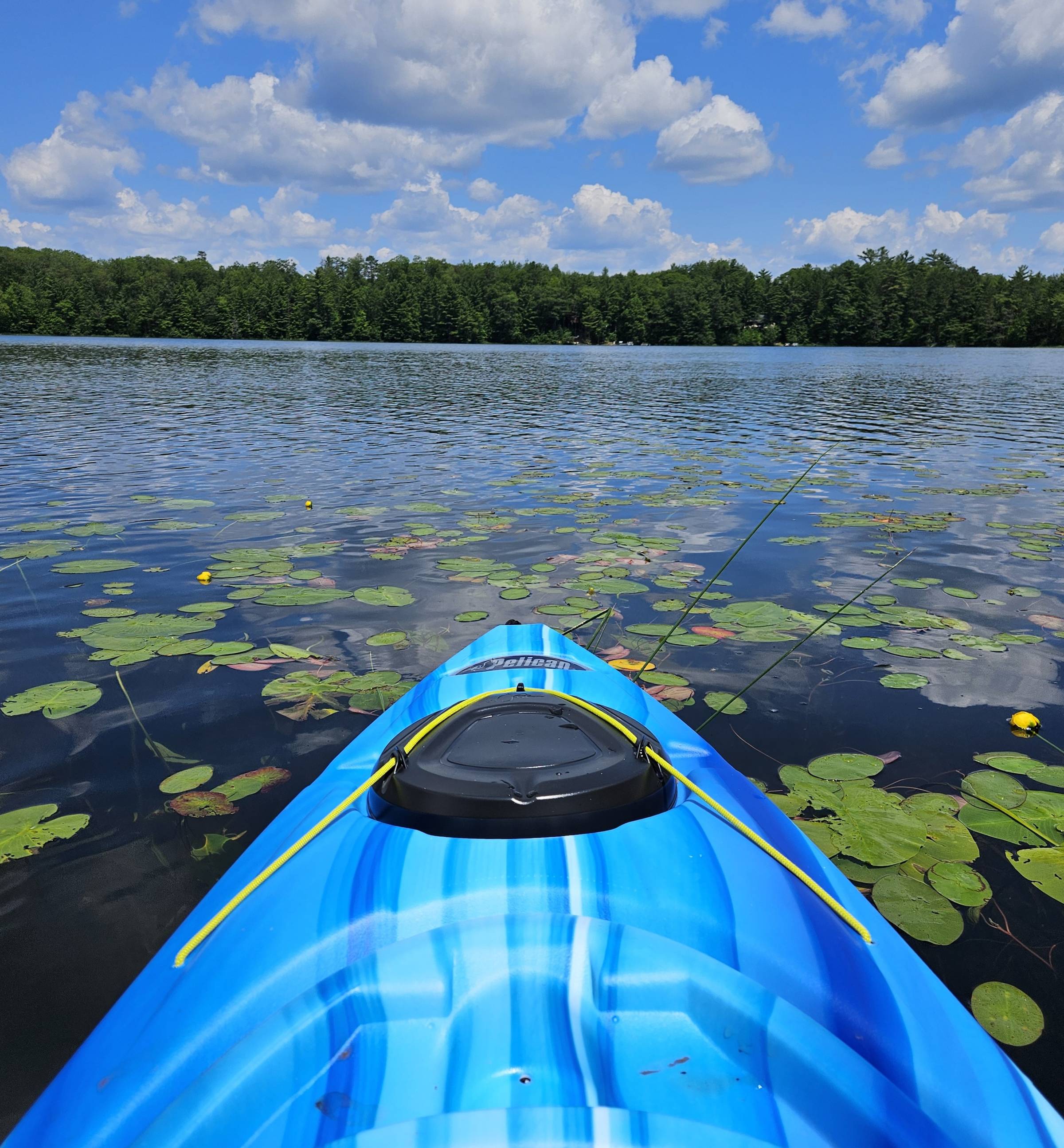 A picture taken from a blue kayak showing a lake filled with lily pads, trees along the shoreline, and puffy white clouds in the sky.