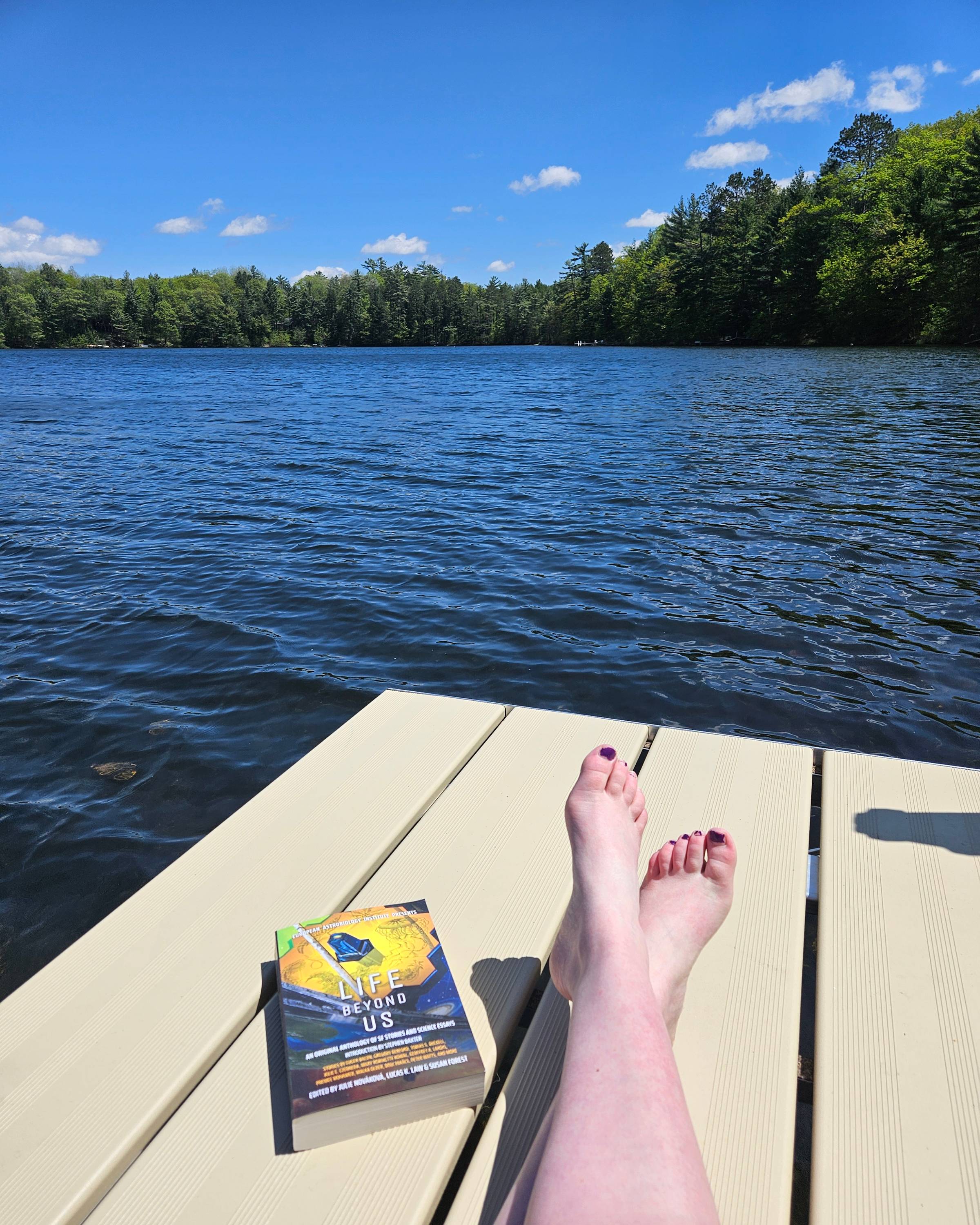 A photograph taken from a dock in a lake, depicting part of the dock, the lake, and the treeline. There is a  book on the dock titled Life Beyond Us.
