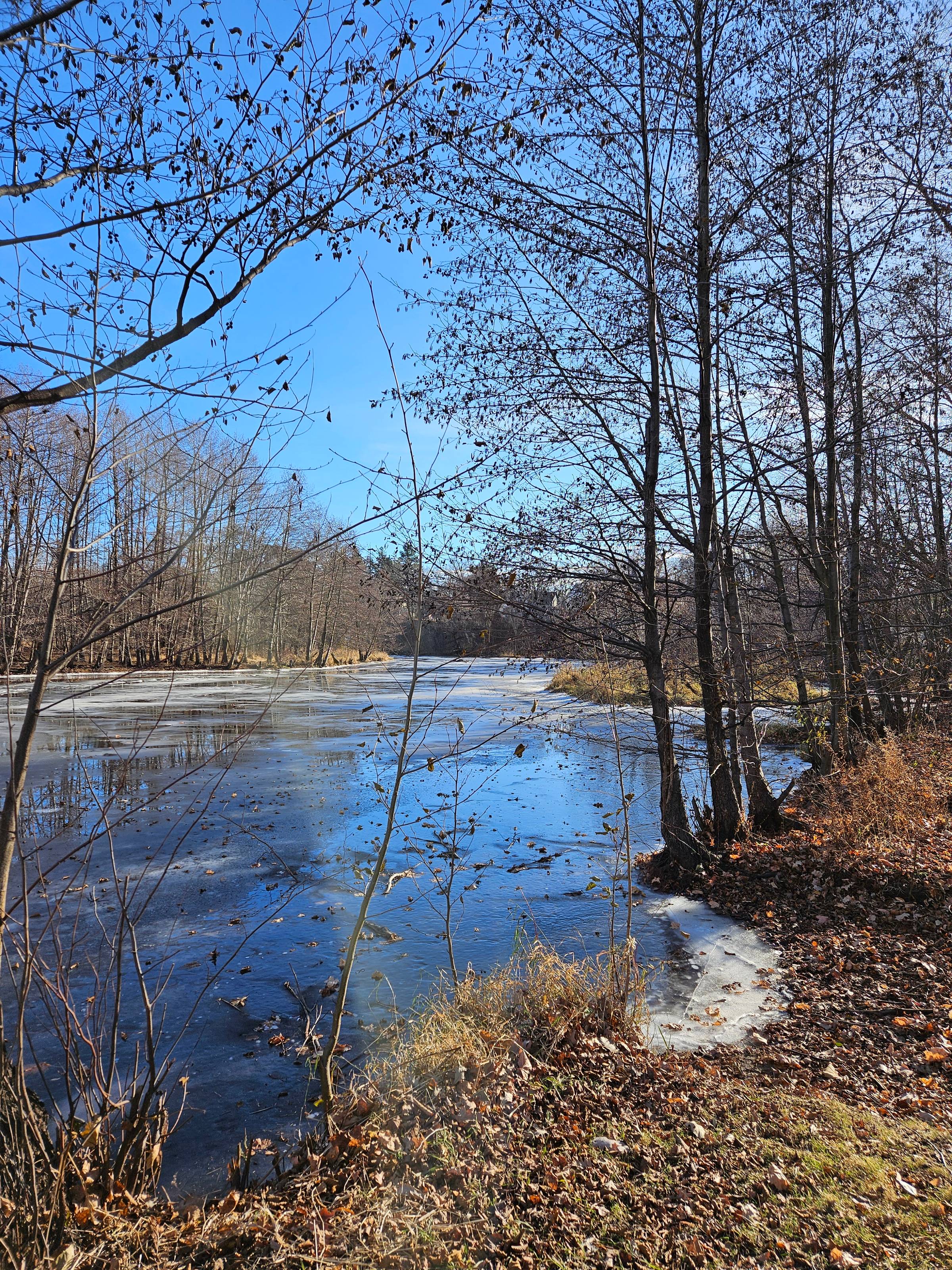 A photograph of a river in the wintertime, depicting blue skies, ice on the water, dead leaves on the grass, and bare trees.